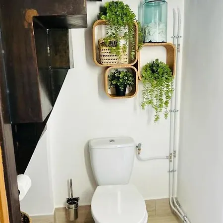 Appartement Bord De Mer, Superbe Confort